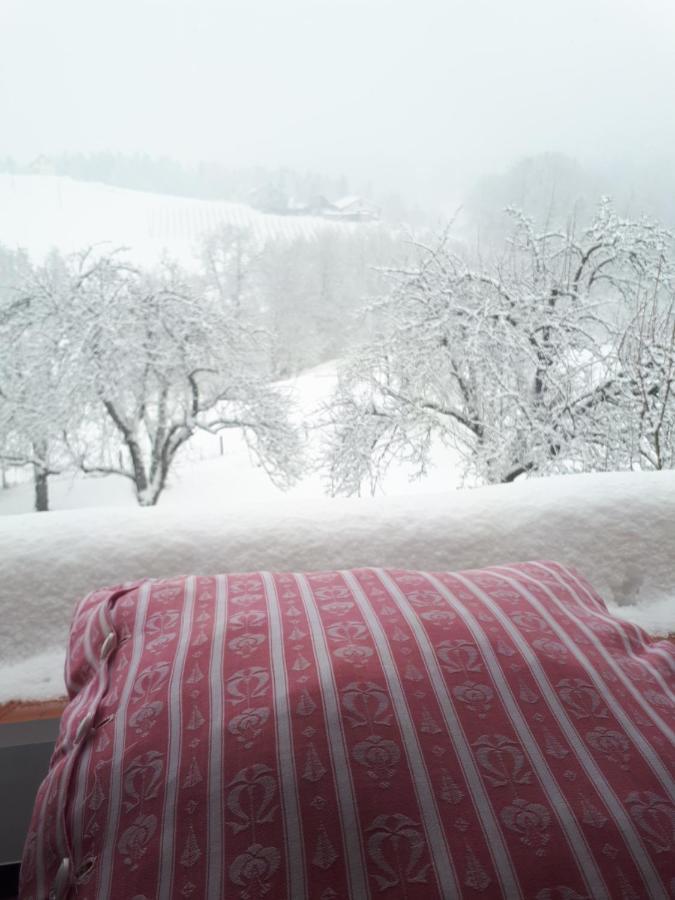 Mala Kmetija Bed & Breakfast Slovenske Konjice Bagian luar foto